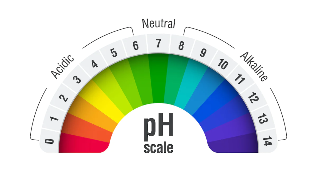 Understanding pH Balance